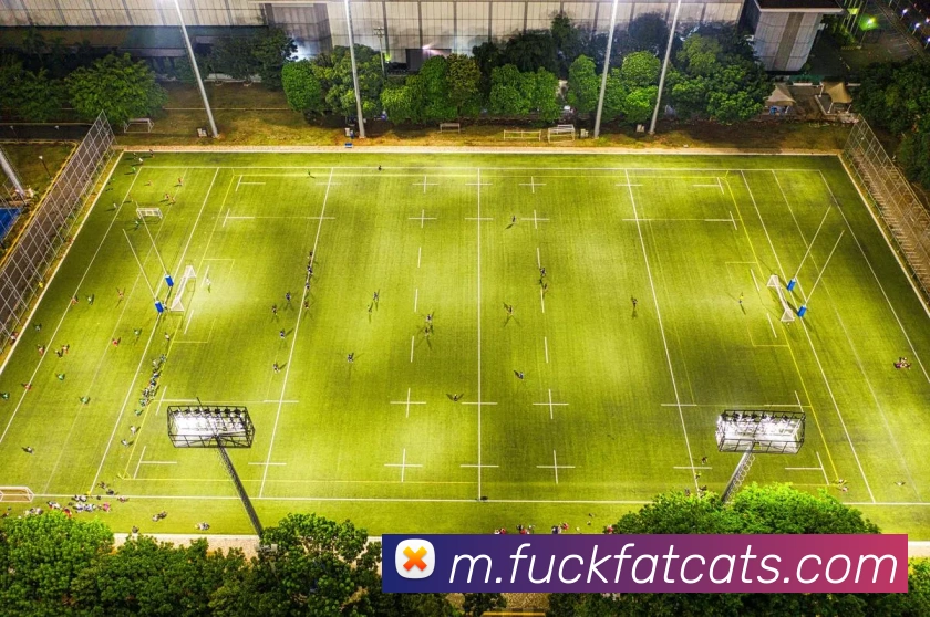 半岛网页版登录入口服务体系